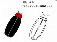蛍 描き方