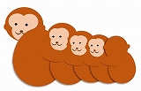 集団　猿